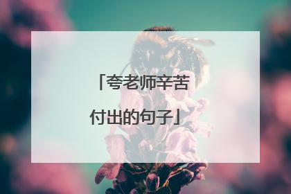 夸老师辛苦付出的句子