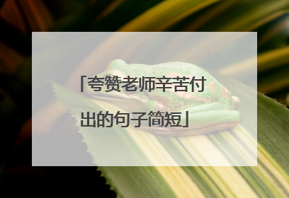夸赞老师辛苦付出的句子简短