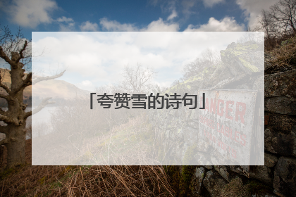 夸赞雪的诗句