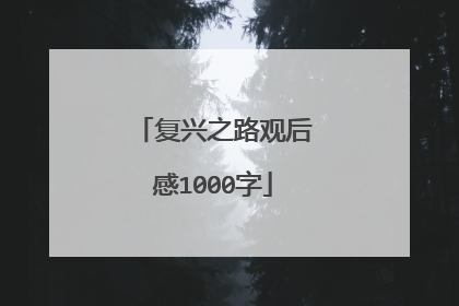 复兴之路观后感1000字