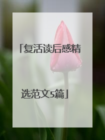 复活读后感精选范文5篇