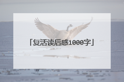 复活读后感1000字