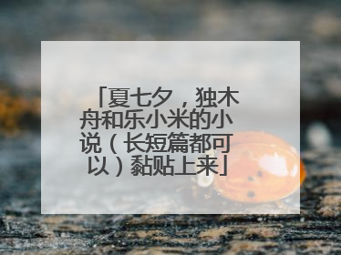 夏七夕,独木舟和乐小米的小说(长短篇都可以)黏贴上来