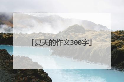 夏天的作文300字
