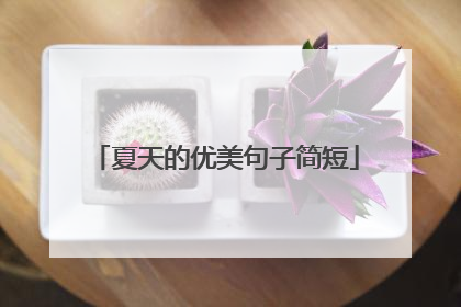 夏天的优美句子简短