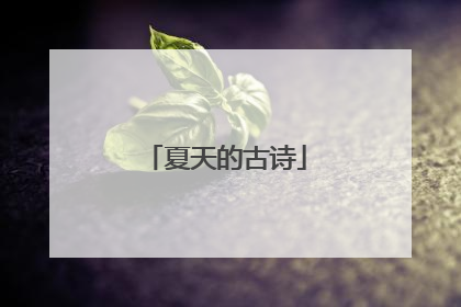 夏天的古诗