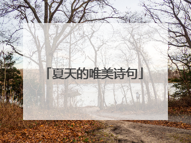 夏天的唯美诗句