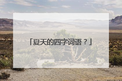 夏天的四字词语?