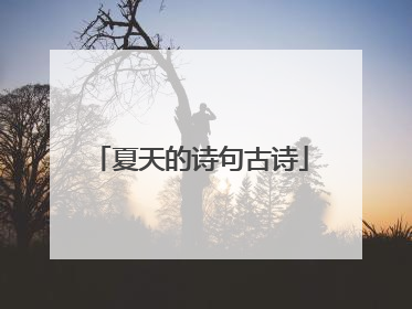 夏天的诗句古诗