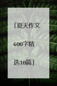 夏天作文600字精选10篇
