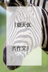 夏天优秀作文