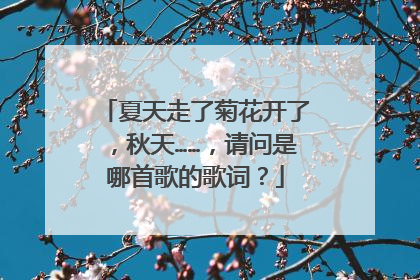 夏天走了菊花开了,秋天……,请问是哪首歌的歌词?
