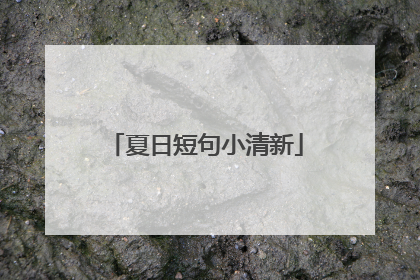 夏日短句小清新