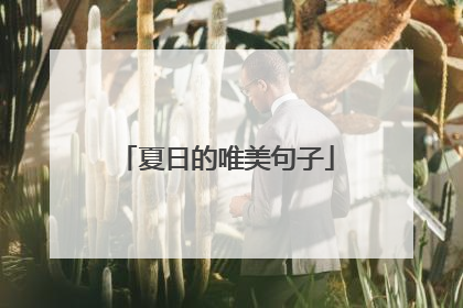 夏日的唯美句子