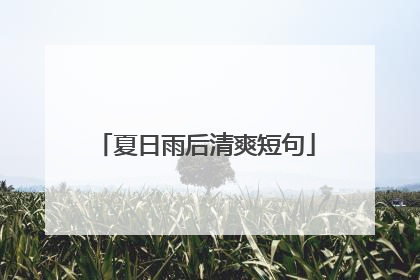 夏日雨后清爽短句