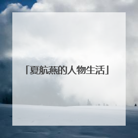夏航燕的人物生活