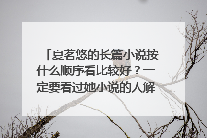 夏茗悠的长篇小说按什么顺序看比较好?一定要看过她小说的人解答。态度好可加悬赏,非诚勿扰!!!