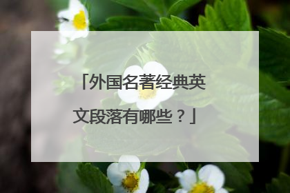 外国名著经典英文段落有哪些?
