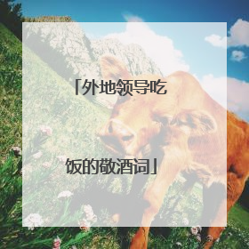 外地领导吃饭的敬酒词