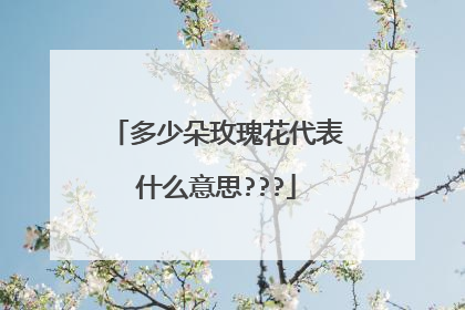 多少朵玫瑰花代表什么意思???
