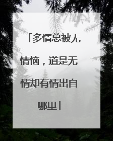 多情总被无情恼,道是无情却有情出自哪里