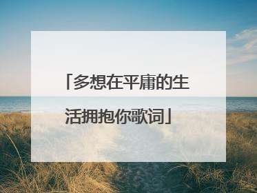 多想在平庸的生活拥抱你歌词