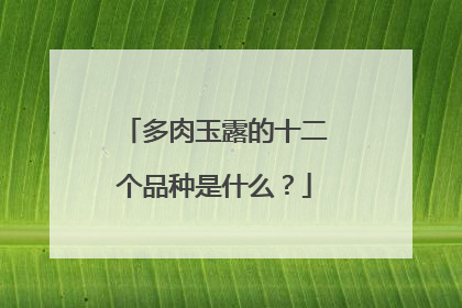 多肉玉露的十二个品种是什么?