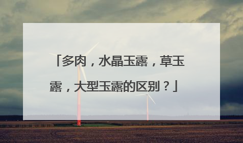 多肉,水晶玉露,草玉露,大型玉露的区别?
