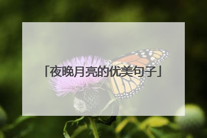 夜晚月亮的优美句子