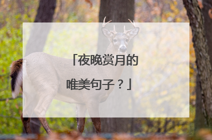 夜晚赏月的唯美句子？