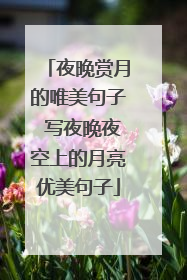 夜晚赏月的唯美句子 写夜晚夜空上的月亮优美句子