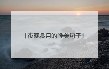 夜晚赏月的唯美句子