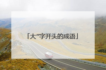 大”字开头的成语