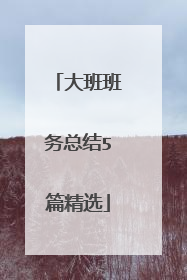 大班班务总结5篇精选