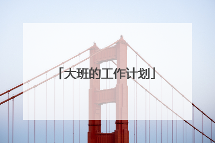 大班的工作计划