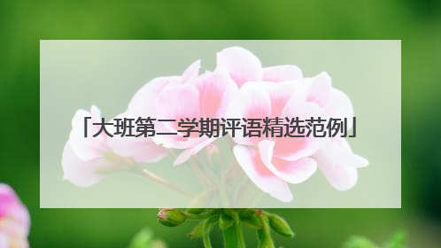 大班第二学期评语精选范例