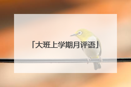 大班上学期月评语