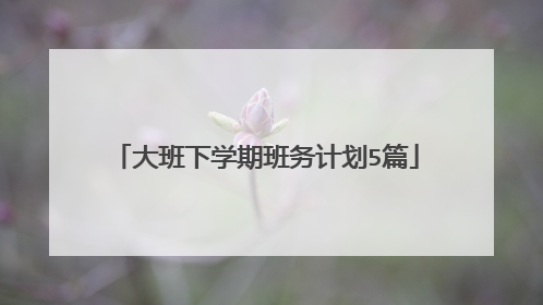 大班下学期班务计划5篇