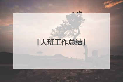 大班工作总结