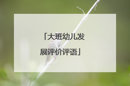 大班幼儿发展评价评语