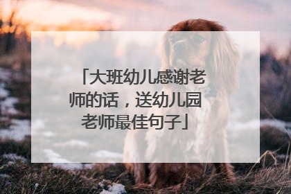 大班幼儿感谢老师的话，送幼儿园老师最佳句子