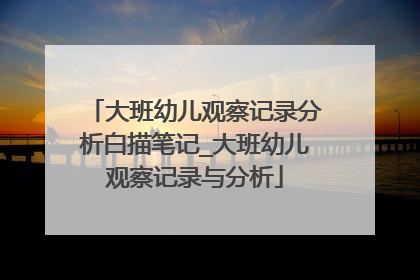 大班幼儿观察记录分析白描笔记_大班幼儿观察记录与分析
