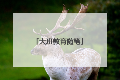 大班教育随笔