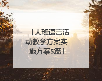 大班语言活动教学方案实施方案5篇
