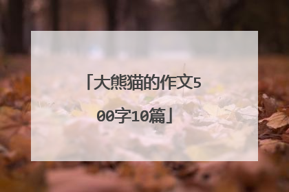 大熊猫的作文500字10篇
