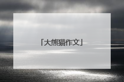 大熊猫作文