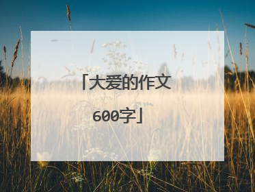 大爱的作文600字
