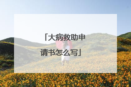 大病救助申请书怎么写