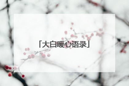 大白暖心语录