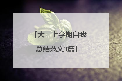 大一上学期自我总结范文3篇